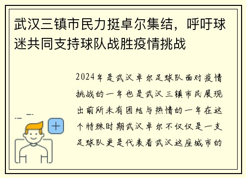 武汉三镇市民力挺卓尔集结，呼吁球迷共同支持球队战胜疫情挑战