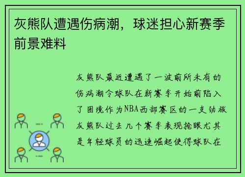 灰熊队遭遇伤病潮，球迷担心新赛季前景难料