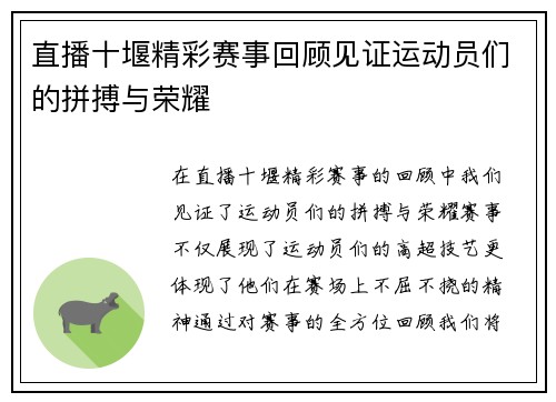 直播十堰精彩赛事回顾见证运动员们的拼搏与荣耀